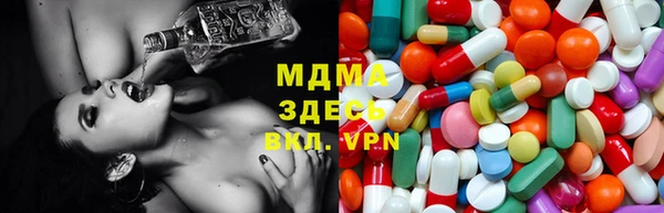 прущие грибы Алзамай